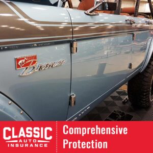 Comprehensive Insurance